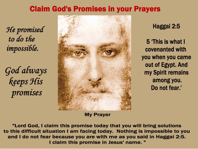 Haggai 2 5 Haggai 2 5